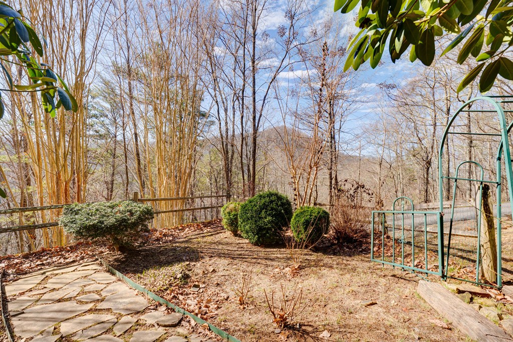 184 Green Mountain Court Blue Ridge, GA 30513 - Photo 60 of 66 Gallery Image 60