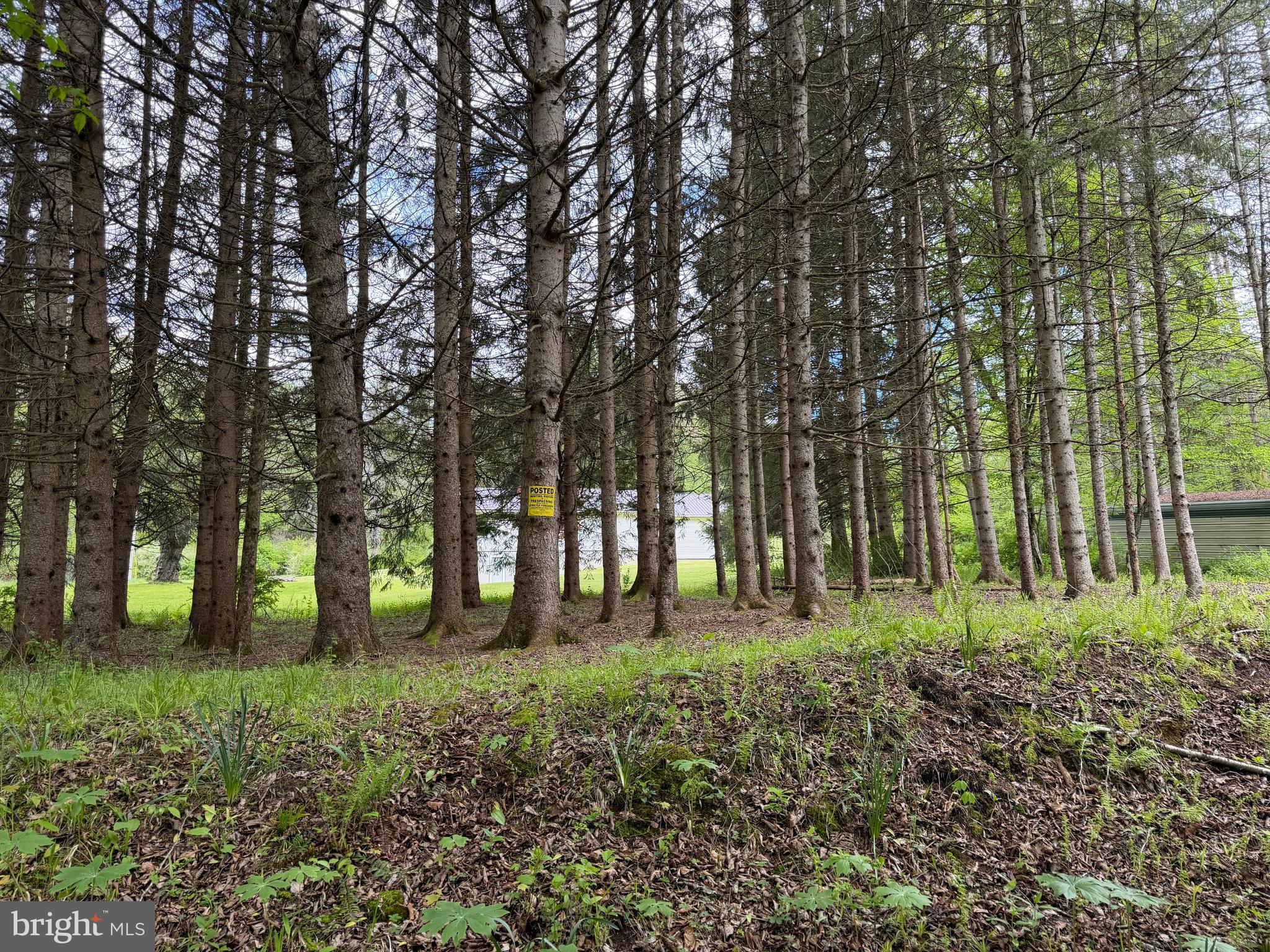 1227 Cross Fork Creek Road Cross Fork, PA 17729 - Photo 95 of 139