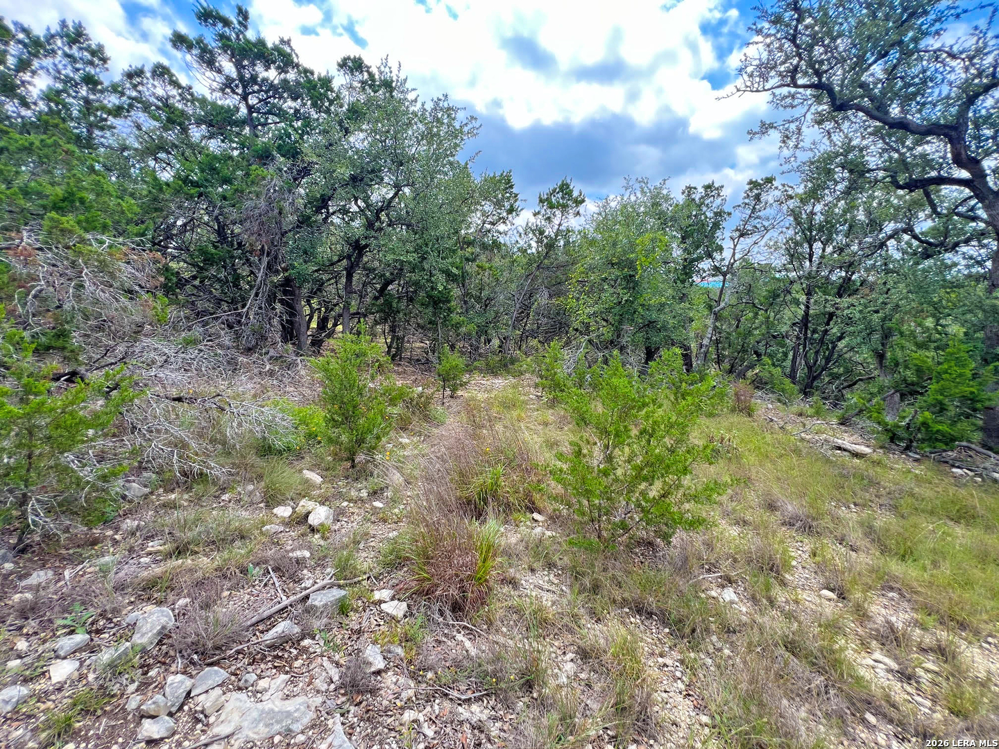 119 Champion Way Spring Branch, TX 78070 - Photo 14 of 22