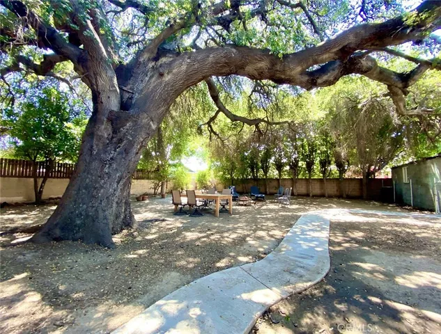 a view of a yard with a tree in the house