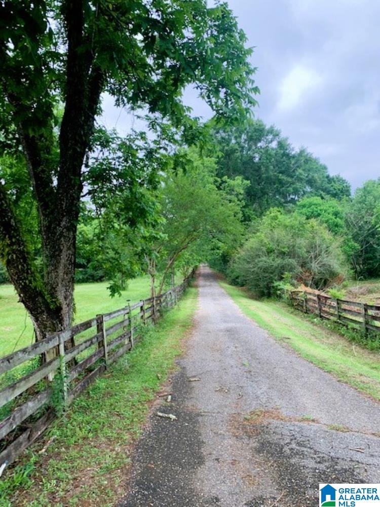 14017 County Road 68 Andalusia, AL 36421 - Photo 2 of 5