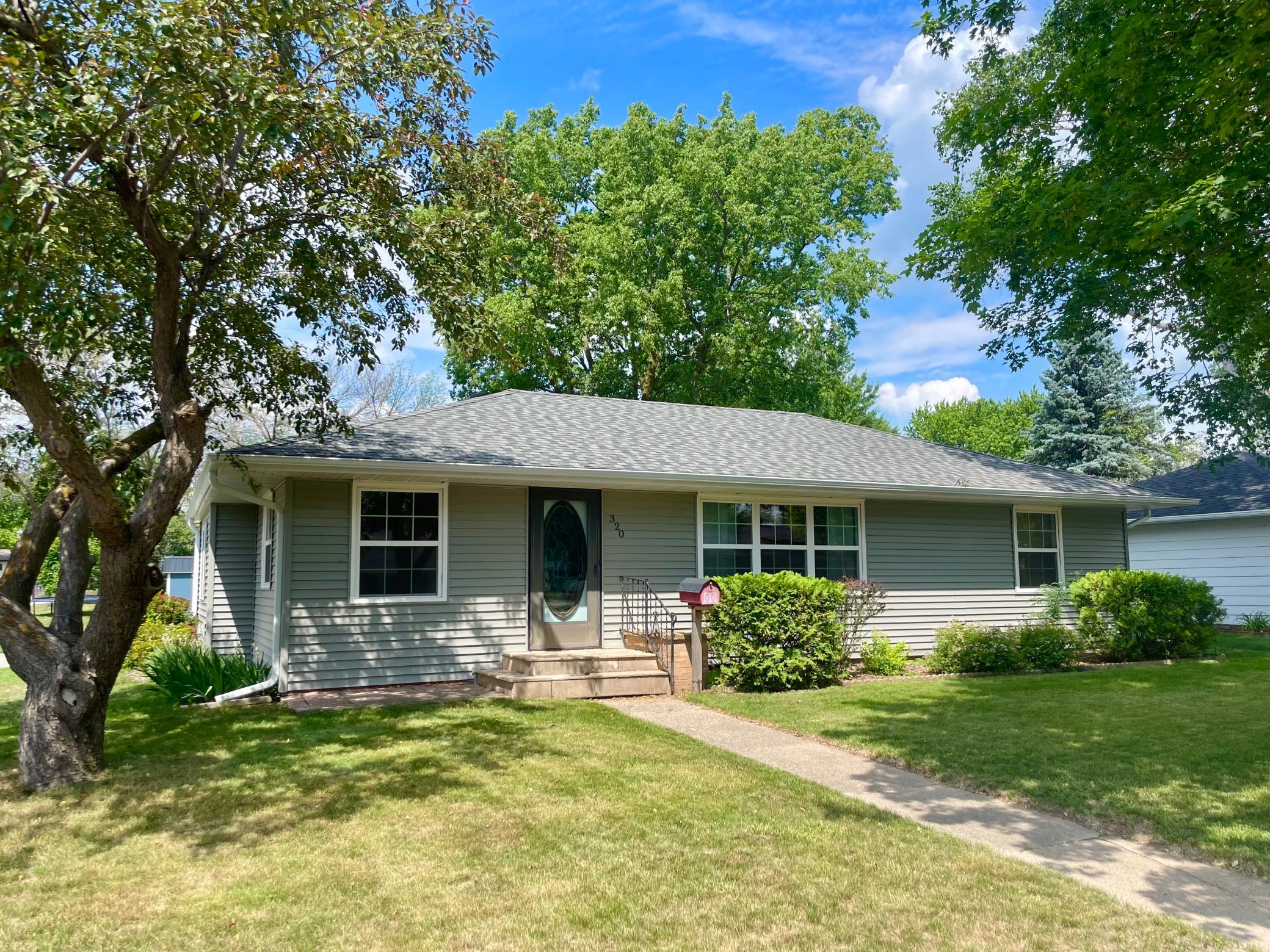 320 South Paffrath Avenue Springfield, MN 56087 - Photo 1 of 1