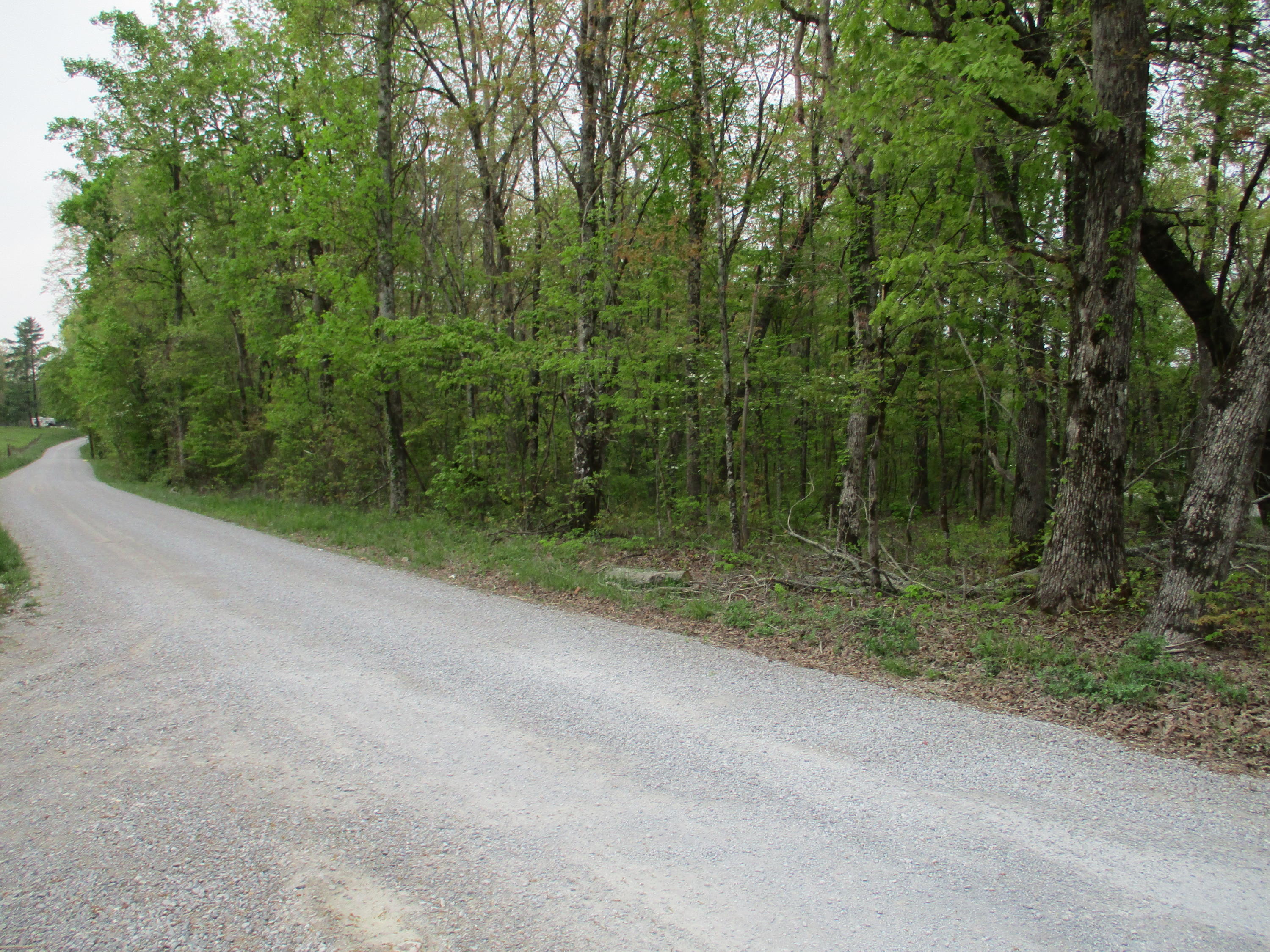 0 Kerley Road, Unit 1 Spring City, TN 37381 - Photo 1 of 24 IMG_0652