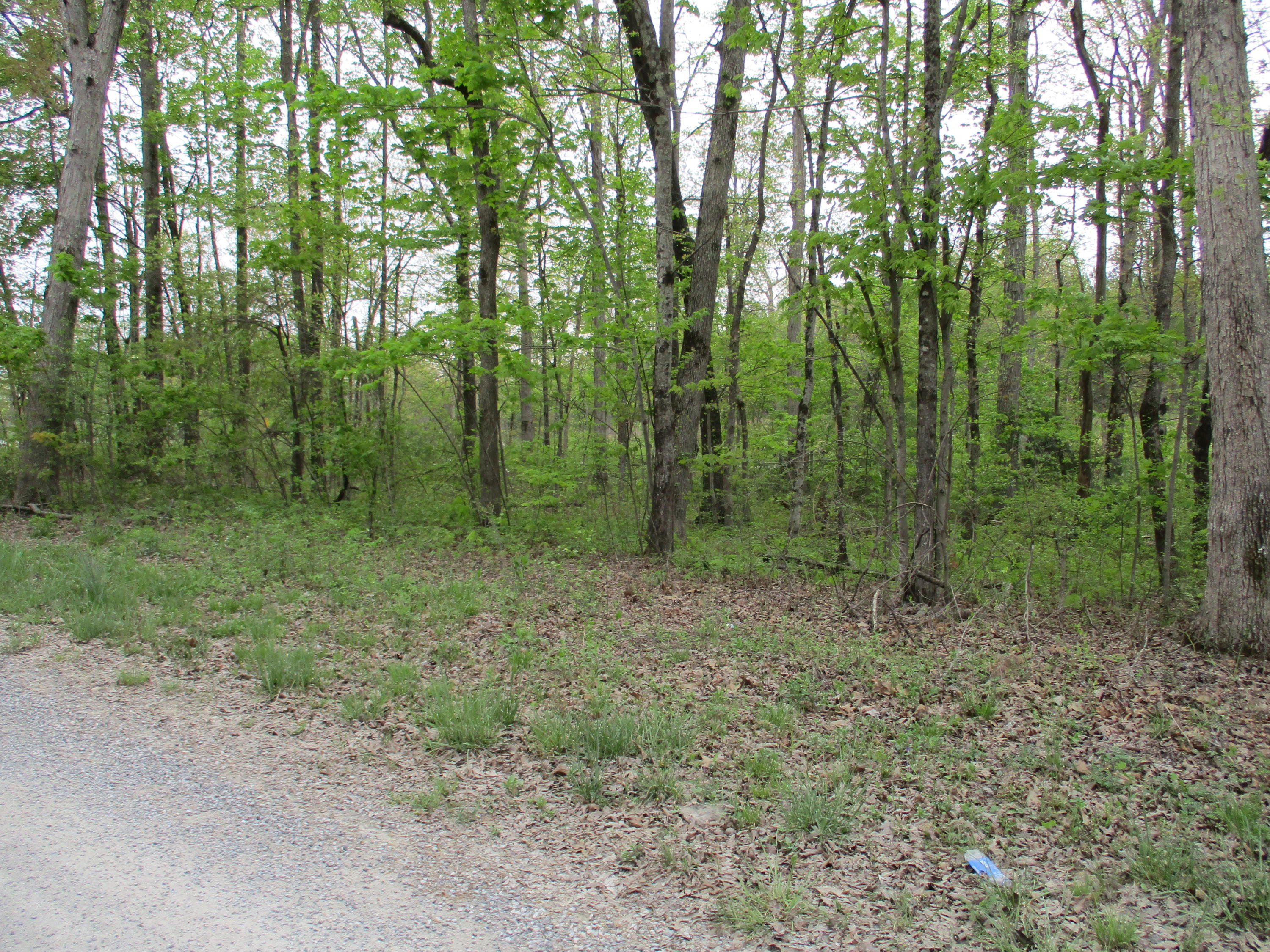 0 Kerley Road, Unit 1 Spring City, TN 37381 - Photo 21 of 24 IMG_0672