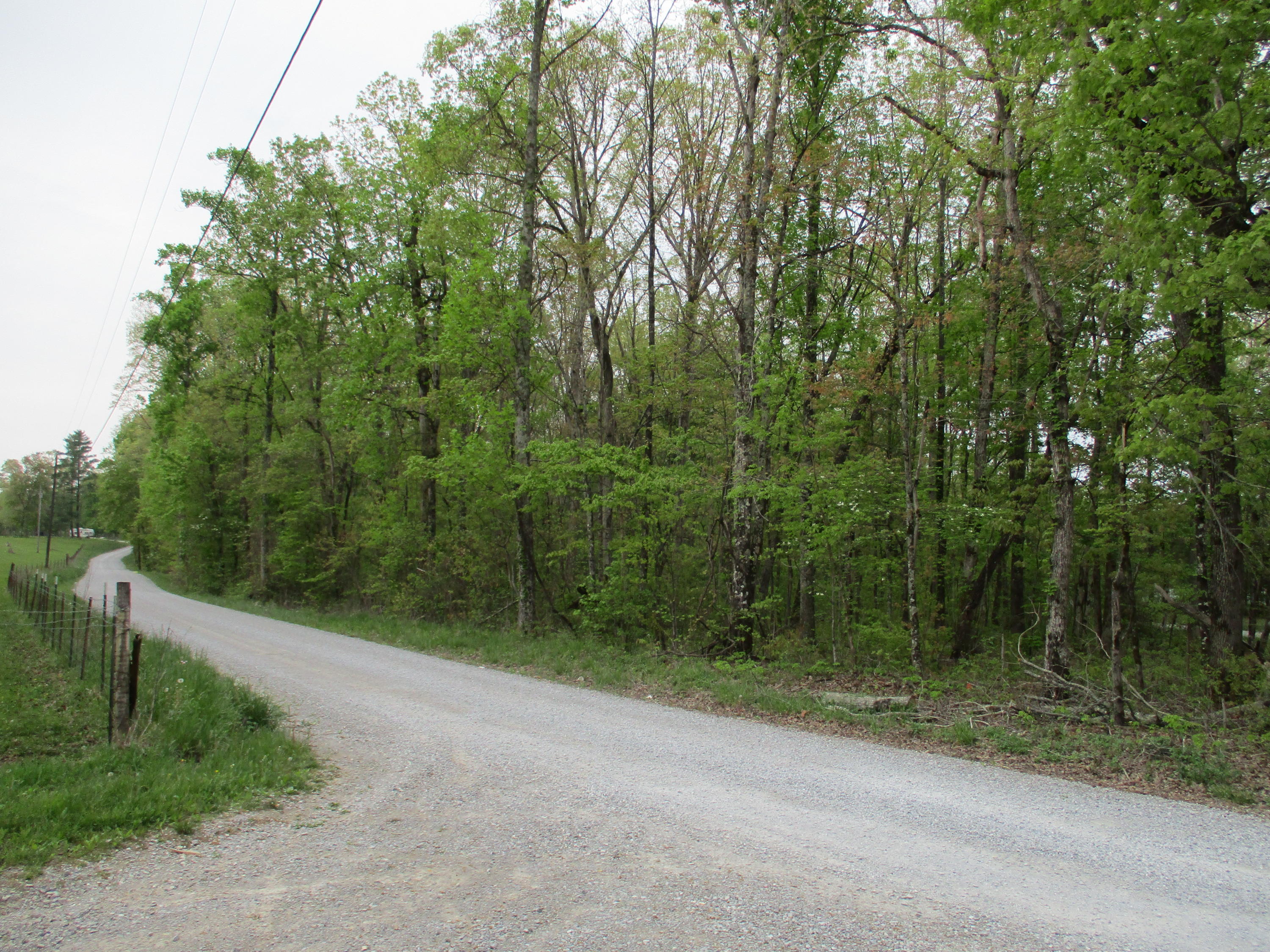 0 Kerley Road, Unit 1 Spring City, TN 37381 - Photo 23 of 24 IMG_0674