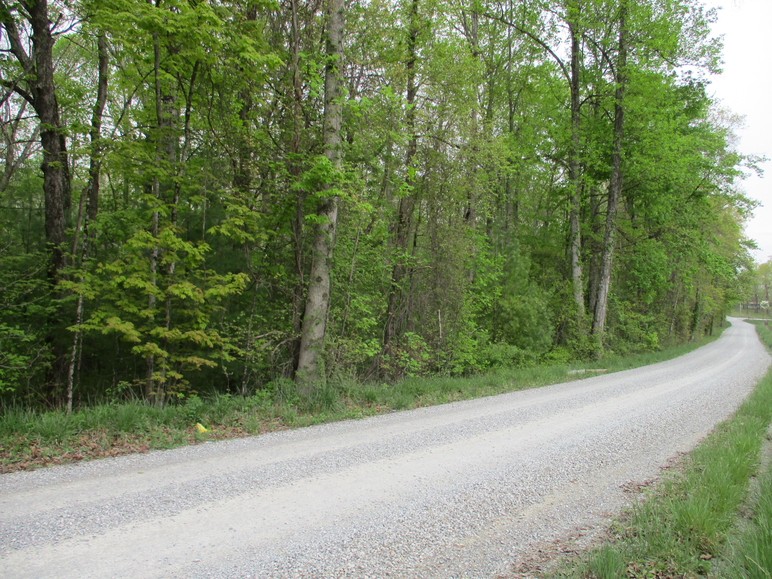 0 Kerley Road, Unit 1 Spring City, TN 37381 - Photo 24 of 24 IMG_0675