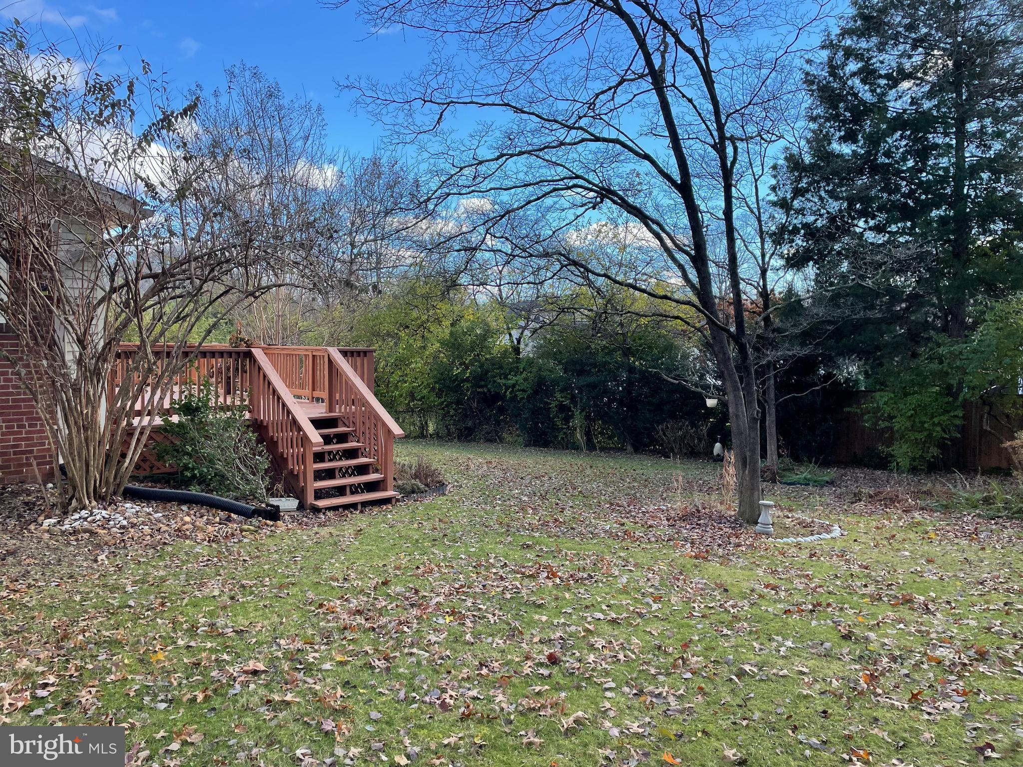 402 Marshall Road Southwest Vienna, VA 22180 - Photo 4 of 6