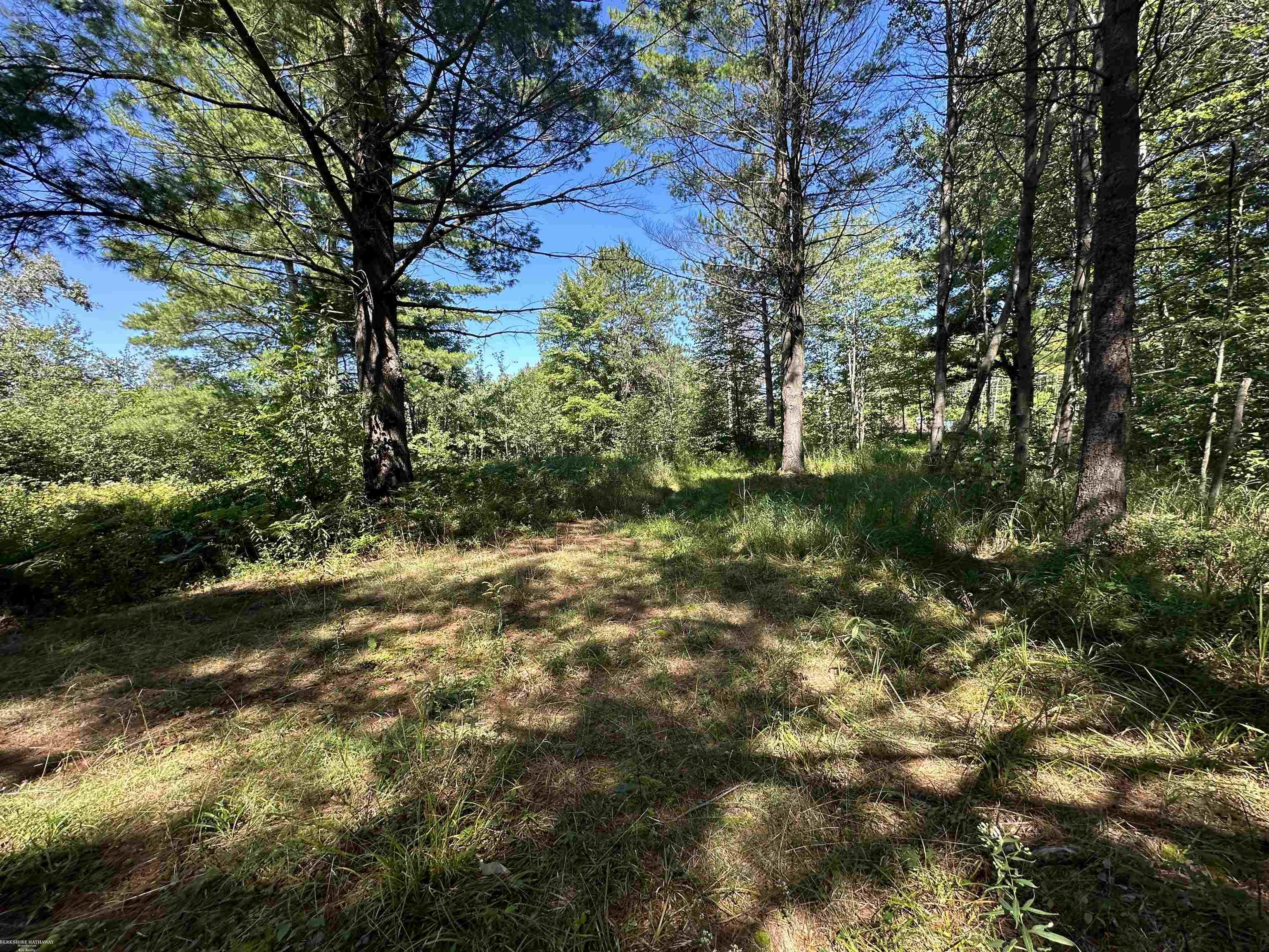 0 Long Lake Road Hale, MI 48739 - Photo 18 of 20