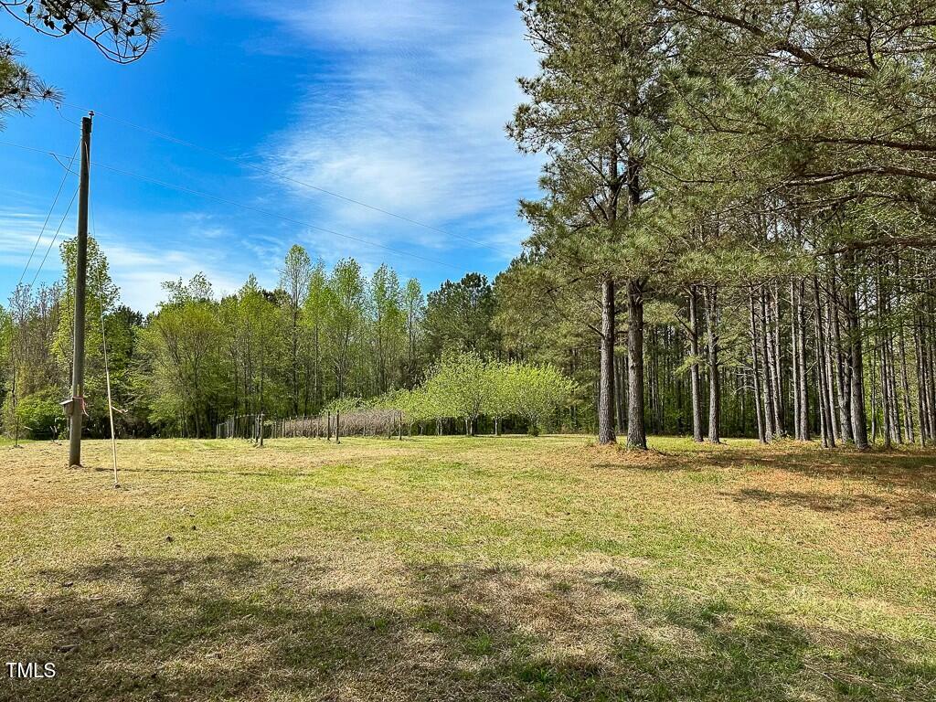 0 Rifle Range Road Warrenton, NC 27589 - Photo 3 of 38 tempImage2v1Zfl