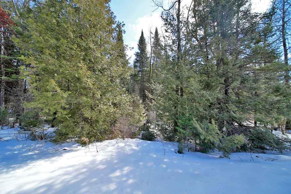 Lot 13 Wilcox Road Orient, ME 04471 - Photo 22 of 24