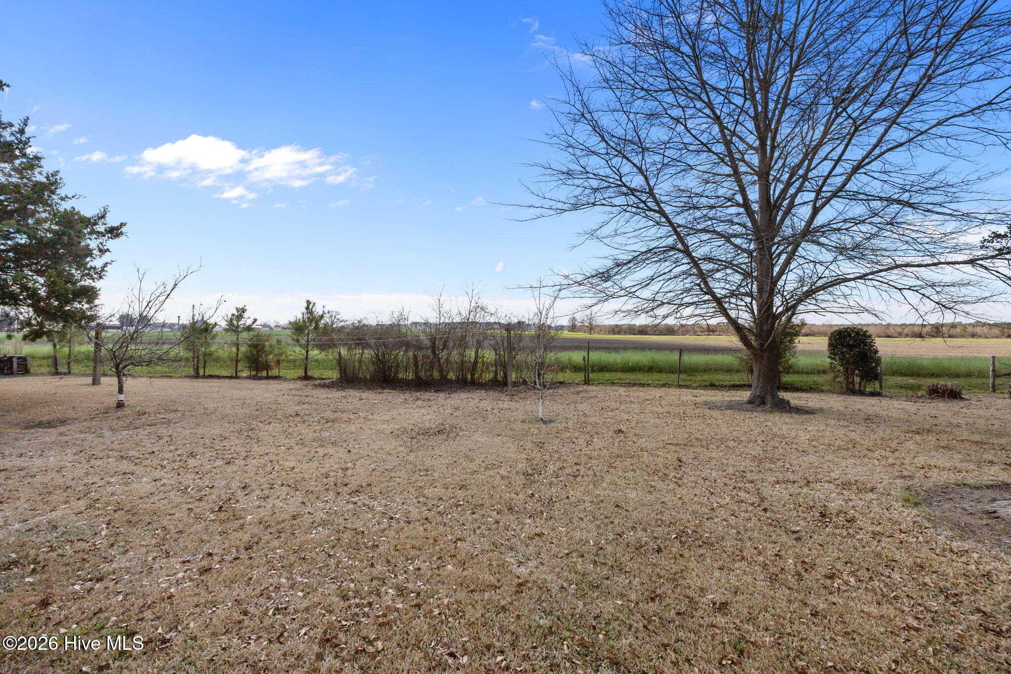1700 Hardee Road Kinston, NC 28504 - Photo 63 of 64 63-web-or-mls-IMG_5214