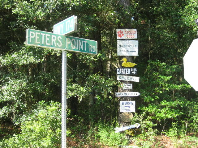 4 Peters Point Road Edisto Island, SC 29438 - Photo 3 of 14 4 Peters Pt Rd (2)