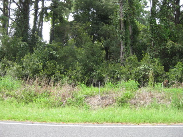 4 Peters Point Road Edisto Island, SC 29438 - Photo 10 of 14 4 Peters Pt Rd (9)
