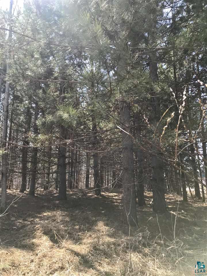 Abcd West Stark Road Esko, MN 55733 - Photo 1 of 5 Gallery Image 1