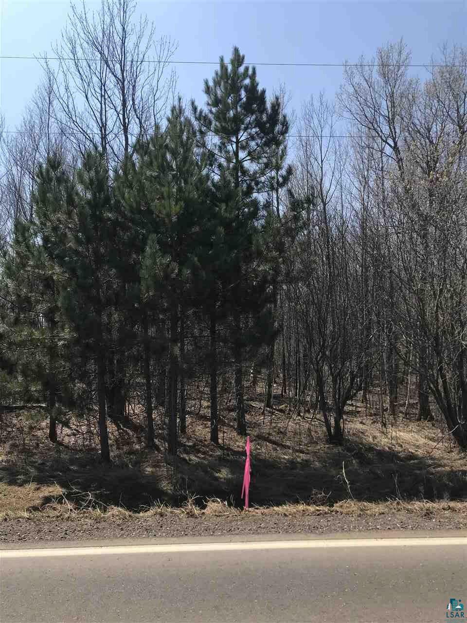 Abcd West Stark Road Esko, MN 55733 - Photo 3 of 5 Gallery Image 3
