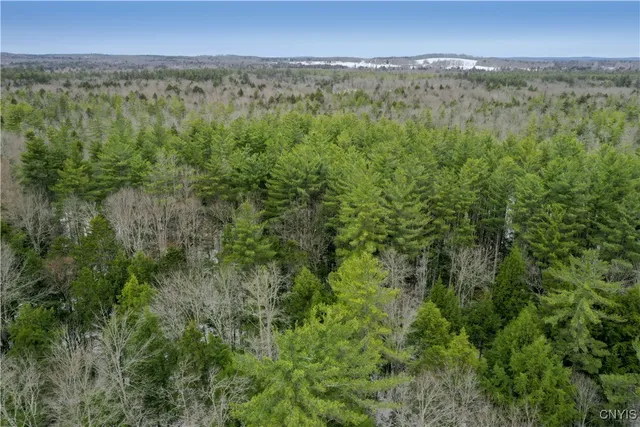 $75,000 | Elpis Road, Camden, NY 13316