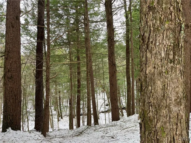 $75,000 | Elpis Road, Camden, NY 13316