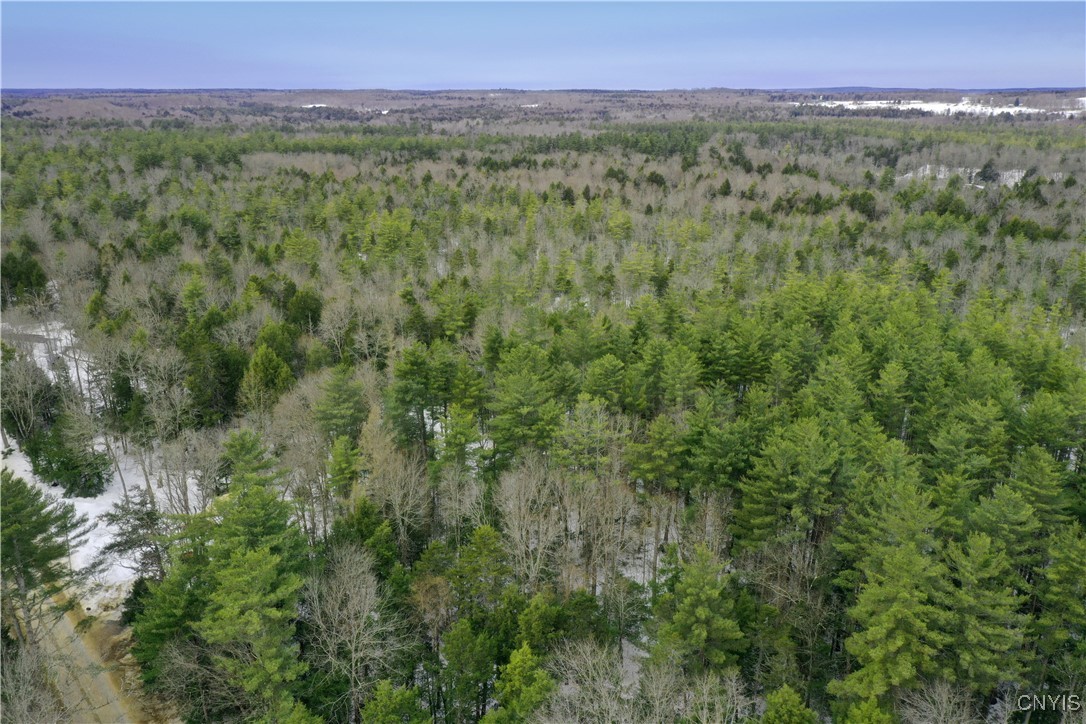 Elpis Road Camden, NY 13316 - Photo 3 of 8