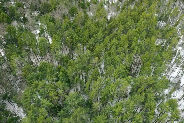 $75,000 | Elpis Road, Camden, NY 13316