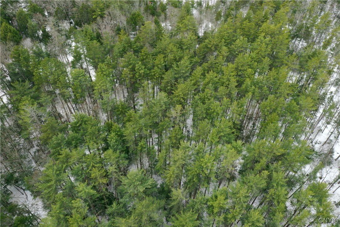 Elpis Road Camden, NY 13316 - Photo 5 of 8