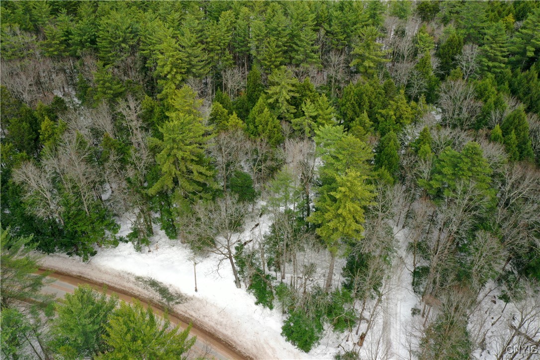 Elpis Road Camden, NY 13316 - Photo 6 of 8