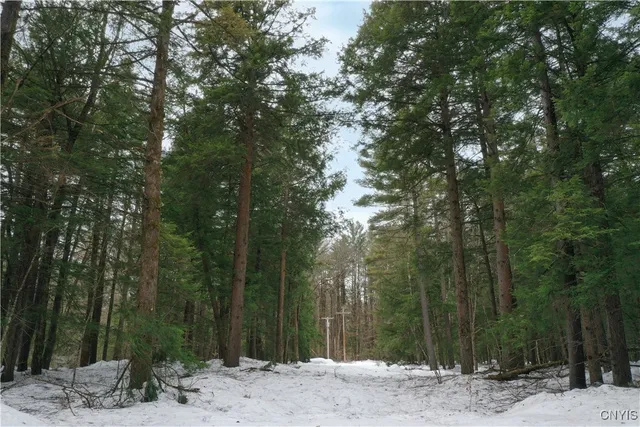 $75,000 | Elpis Road, Camden, NY 13316