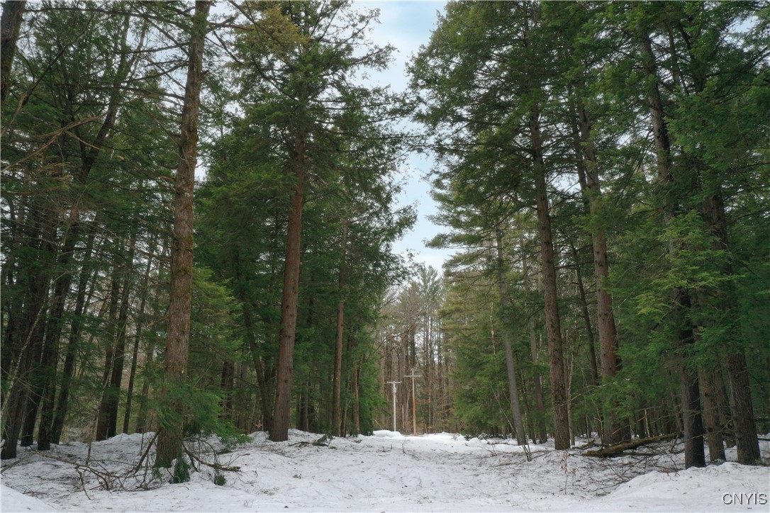 Elpis Road Camden, NY 13316 - Photo 7 of 8