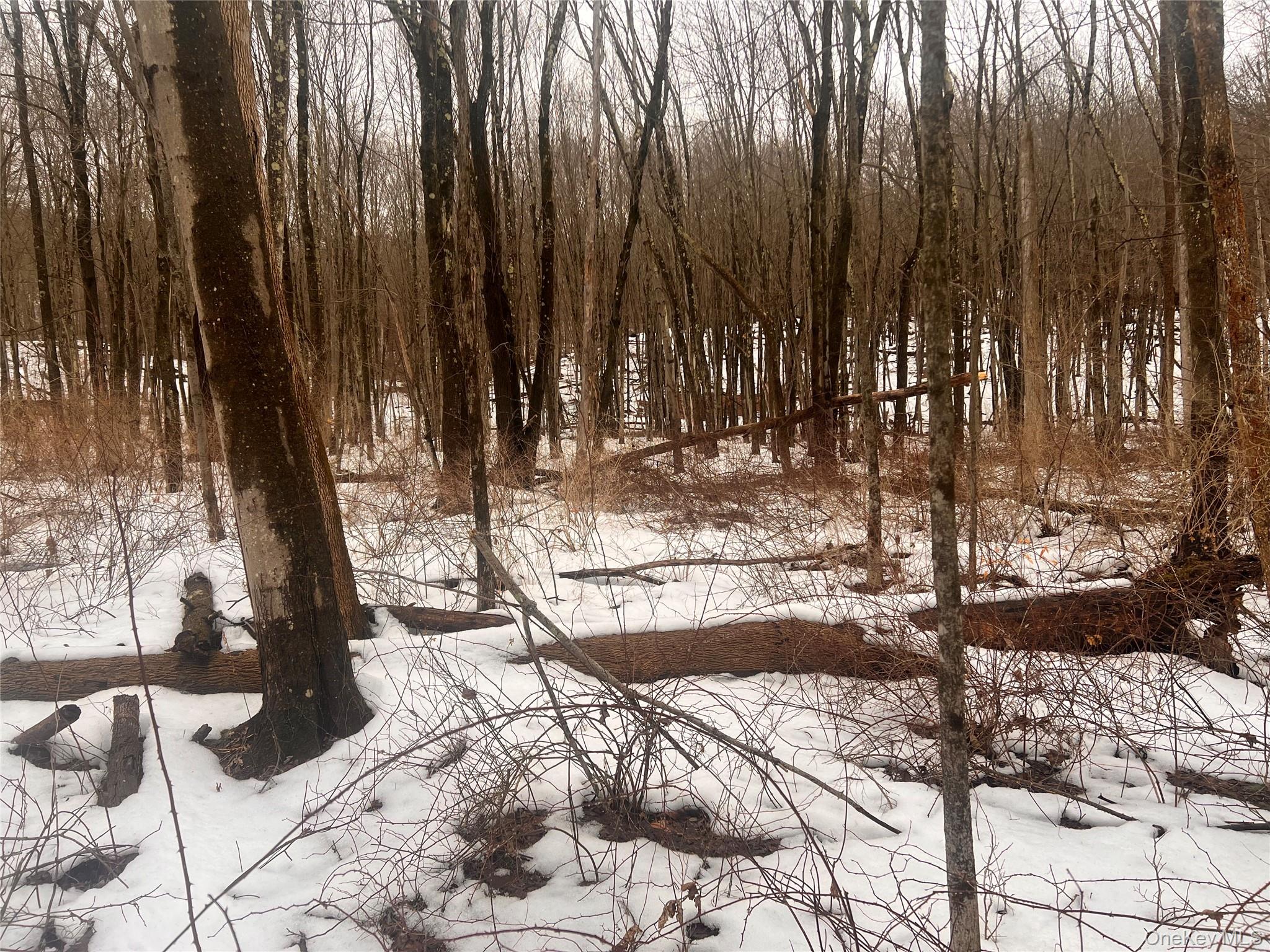 2413 Route 44 Salt Point, NY 12578 - Photo 5 of 12