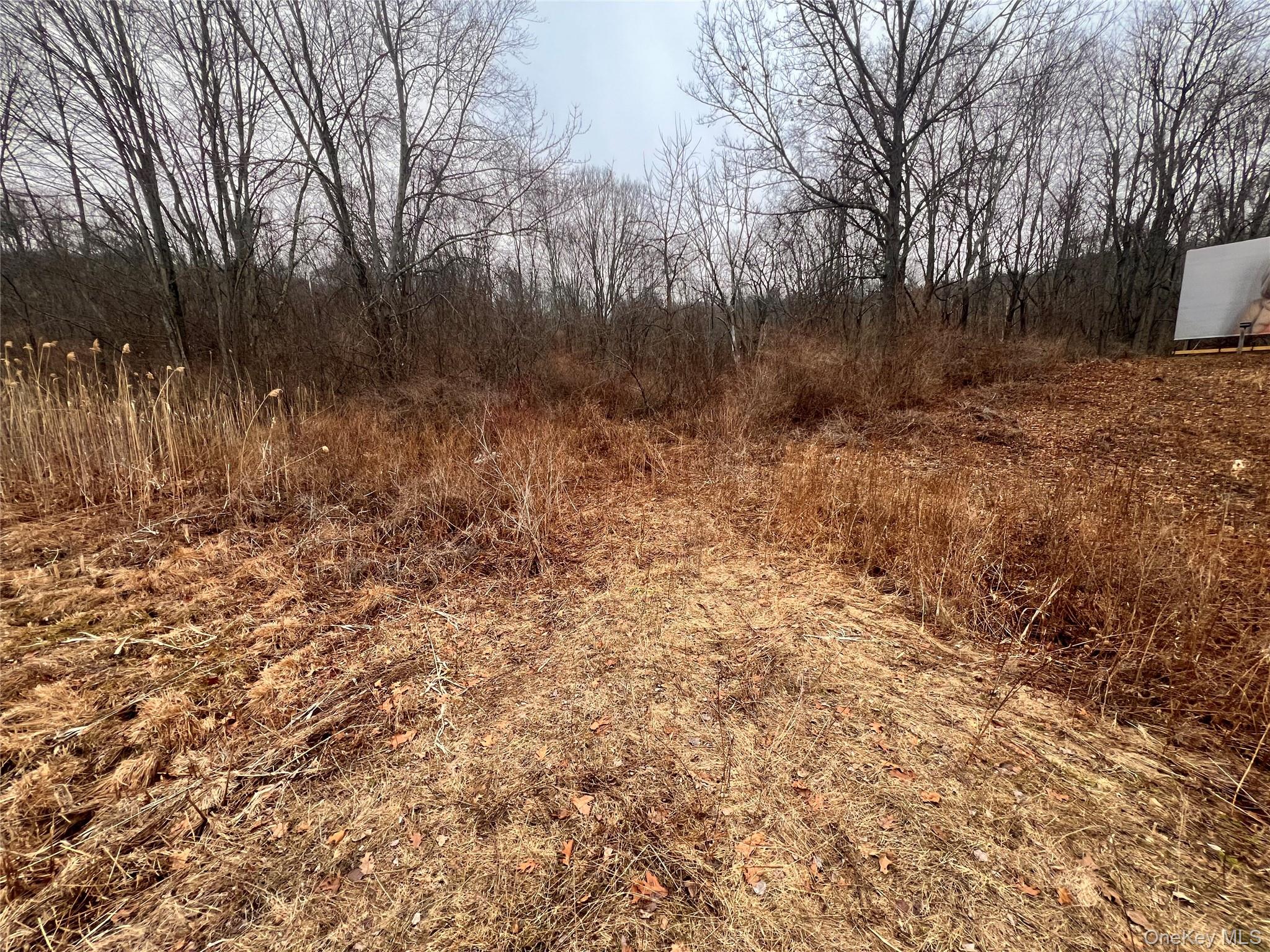 2413 Route 44 Salt Point, NY 12578 - Photo 9 of 12