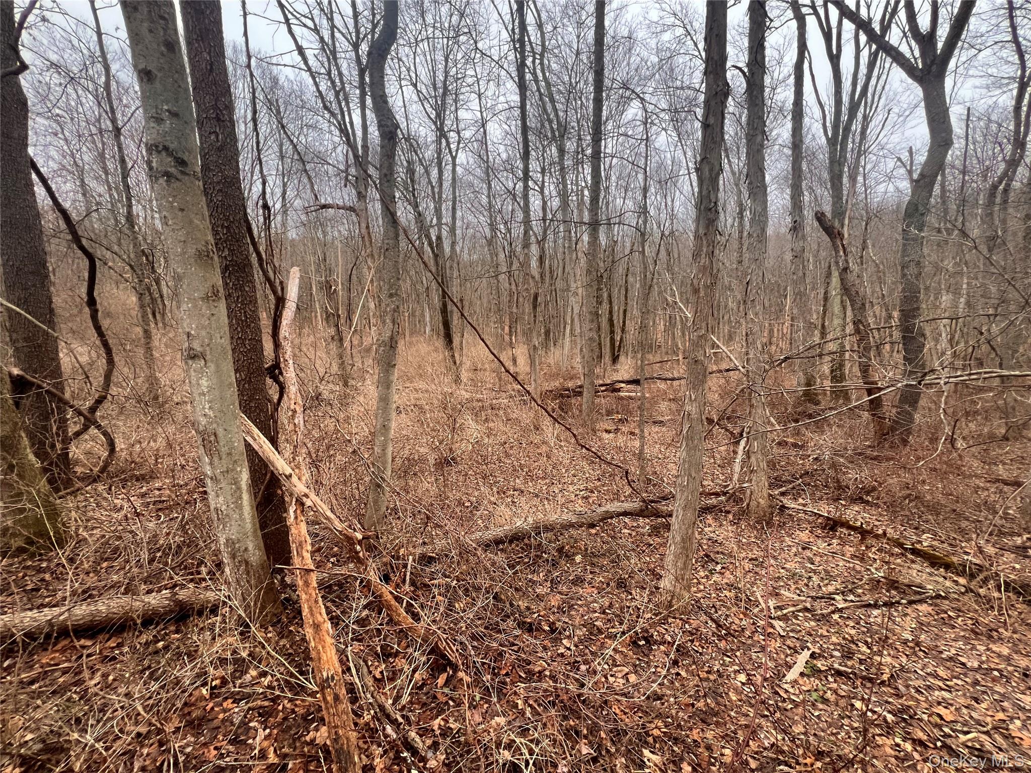 2413 Route 44 Salt Point, NY 12578 - Photo 10 of 12