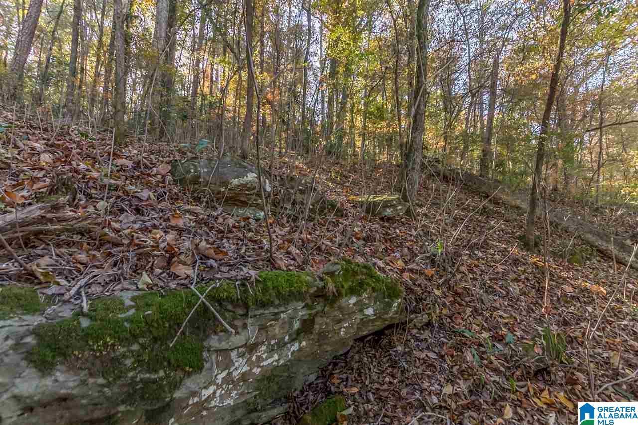 3385 Overbrook Road, Unit 109 Birmingham, AL 35213 - Photo 25 of 36