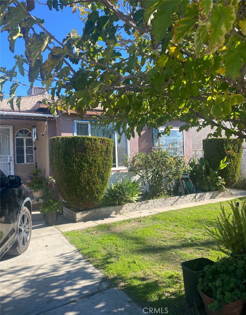 10246 Haddon Avenue Pacoima, CA 91331 - Photo 12 of 20