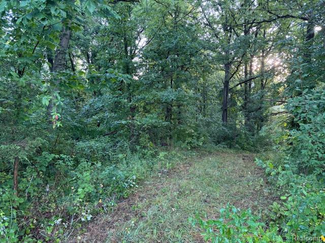 0 Teggerdine Road White Lake, MI 48386 - Photo 6 of 7