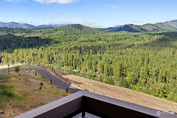 a view of a forest from a window
