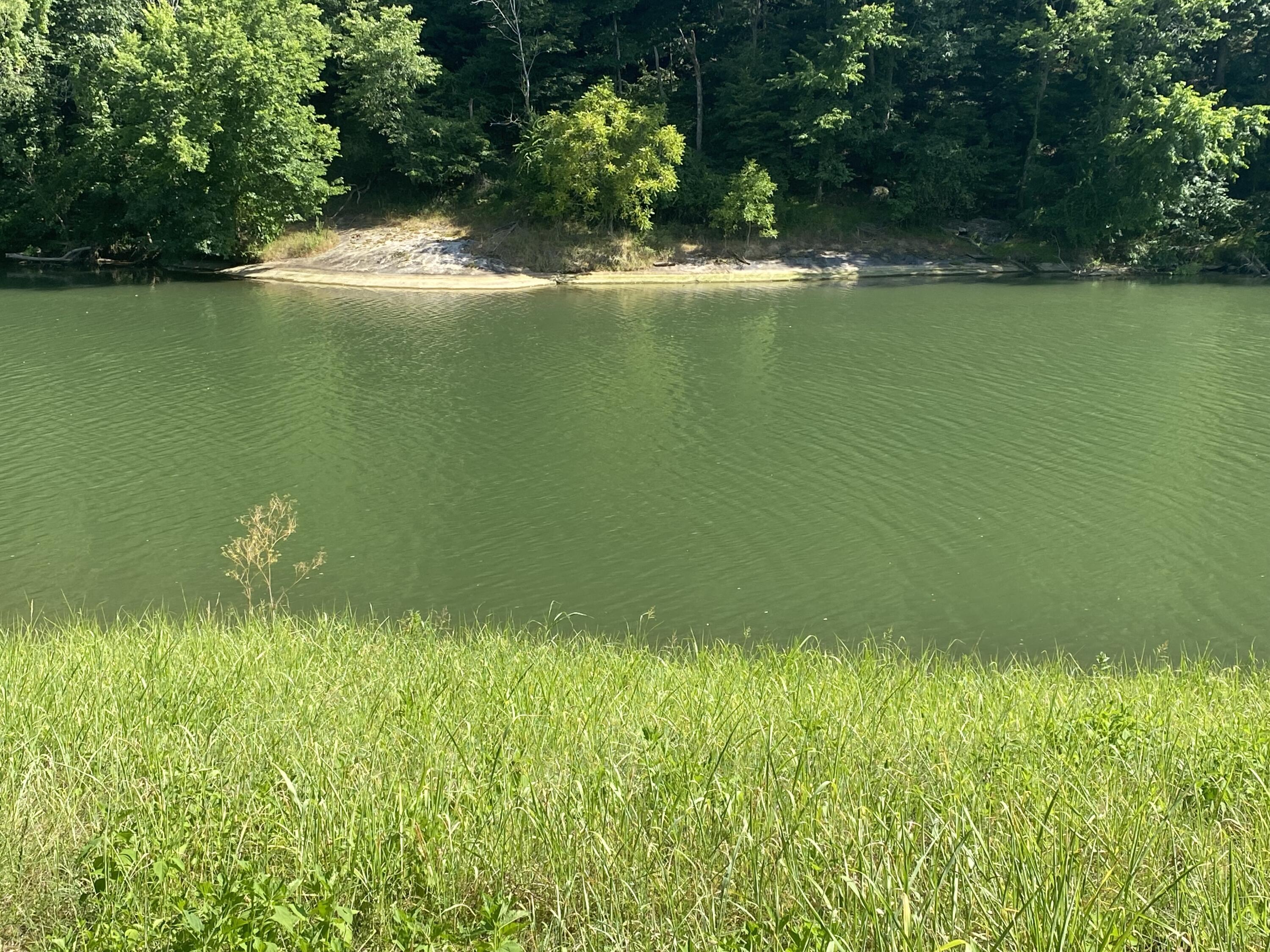 Lot 23 River Rock Road Vinton, VA 24179 - Photo 8 of 22 IMG_1400