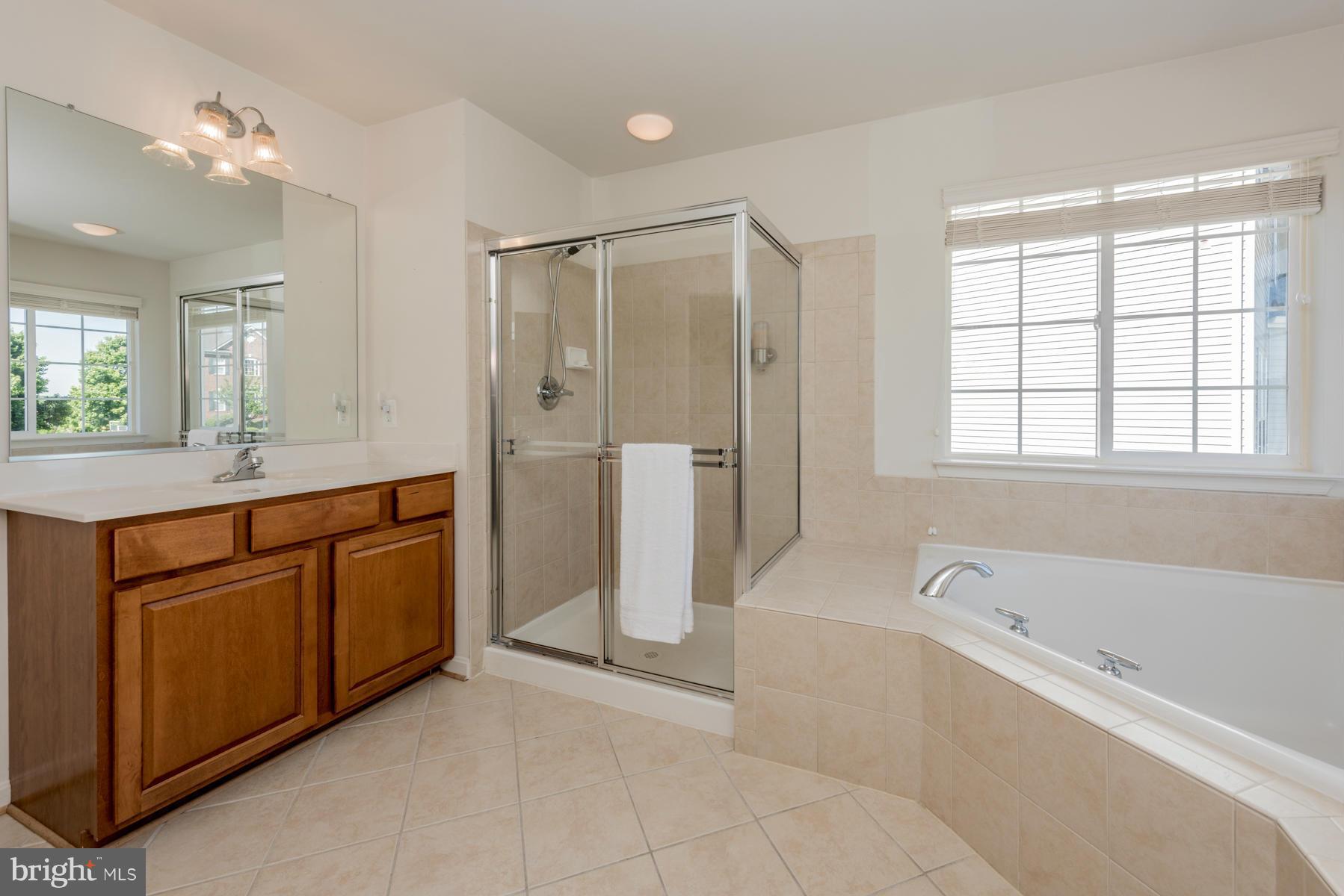8042 High Castle Road Ellicott City, MD 21043 - Photo 14 of 29 Bath (Master)