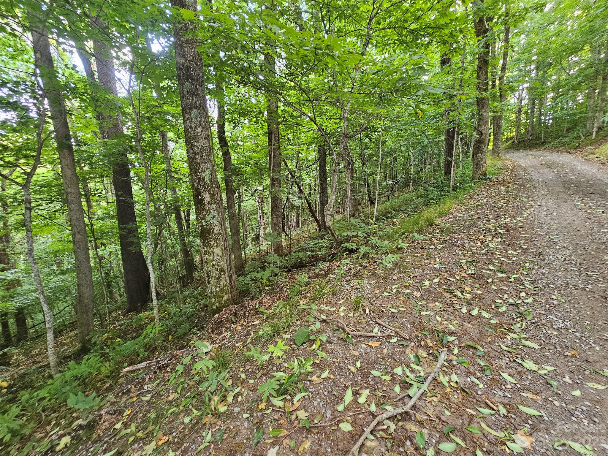 Lot 21 Springbrook Farm Road Waynesville, NC 28786 - Photo 11 of 13 a view of outdoor space and green space