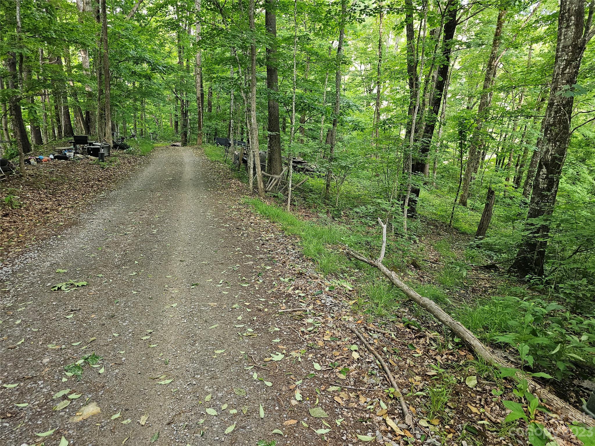 Lot 21 Springbrook Farm Road Waynesville, NC 28786 - Photo 12 of 13 a view of a forest with trees in the background