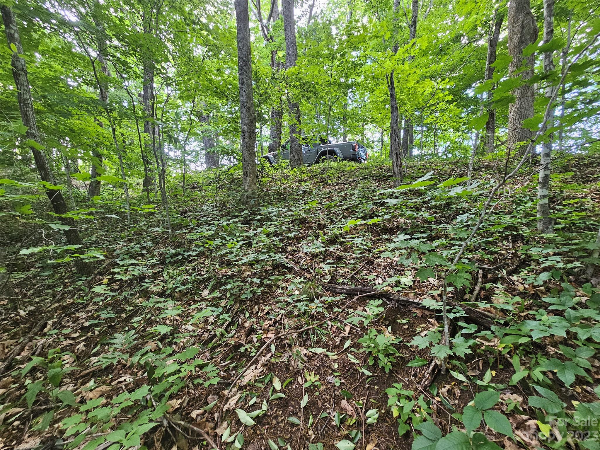 Lot 21 Springbrook Farm Road Waynesville, NC 28786 - Photo 7 of 13 a view of a lush green forest