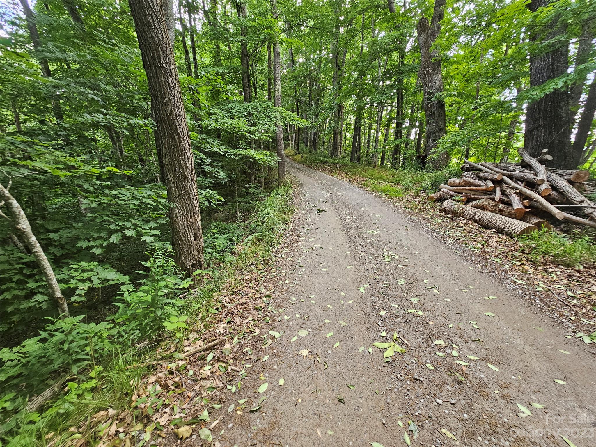 Lot 21 Springbrook Farm Road Waynesville, NC 28786 - Photo 8 of 13 a big yard with lots of green space and deers