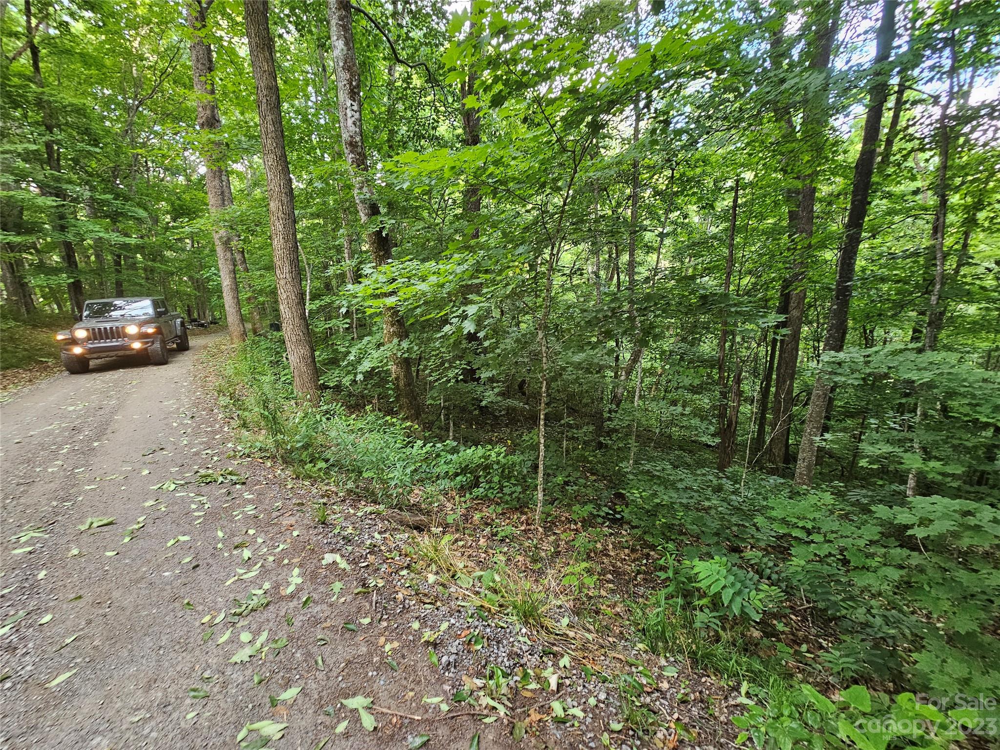 Lot 21 Springbrook Farm Road Waynesville, NC 28786 - Photo 10 of 13 a view of a yard with a car parked in the forest