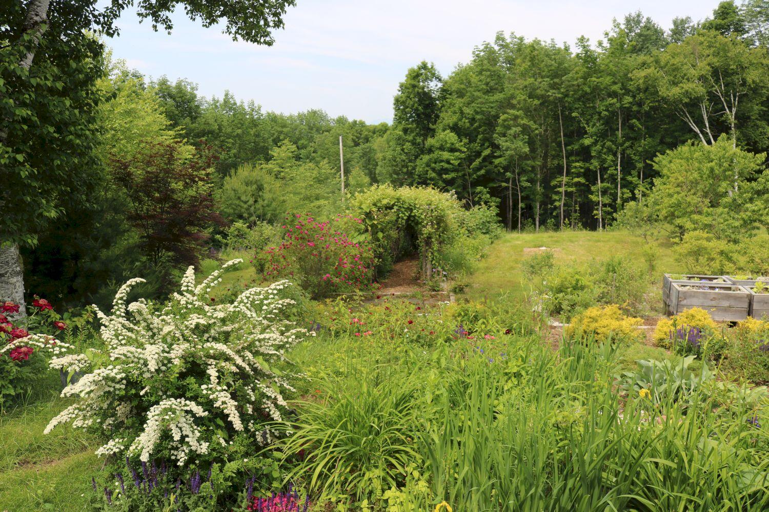 206 Drury Road Solon, ME 04979 - Photo 29 of 91 IMG_9055