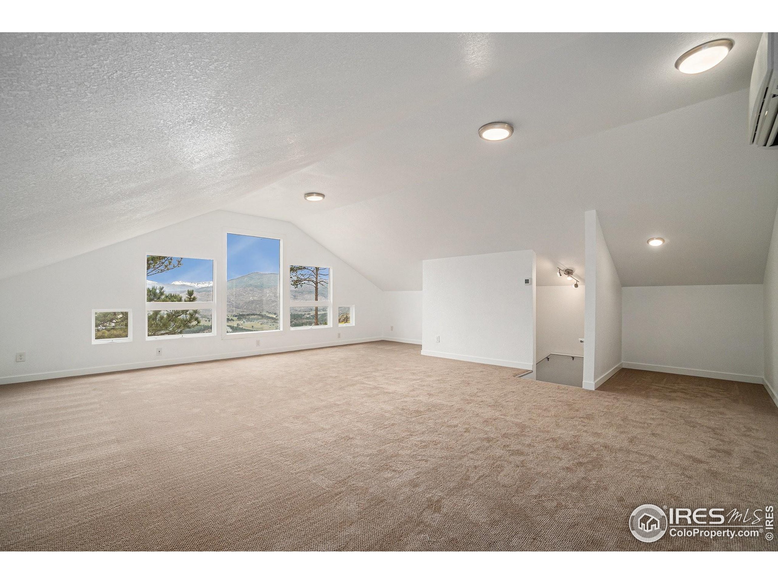 552 Blue Grouse Lane Bellvue, CO 80512 - Photo 29 of 39 a view of an empty room with a window