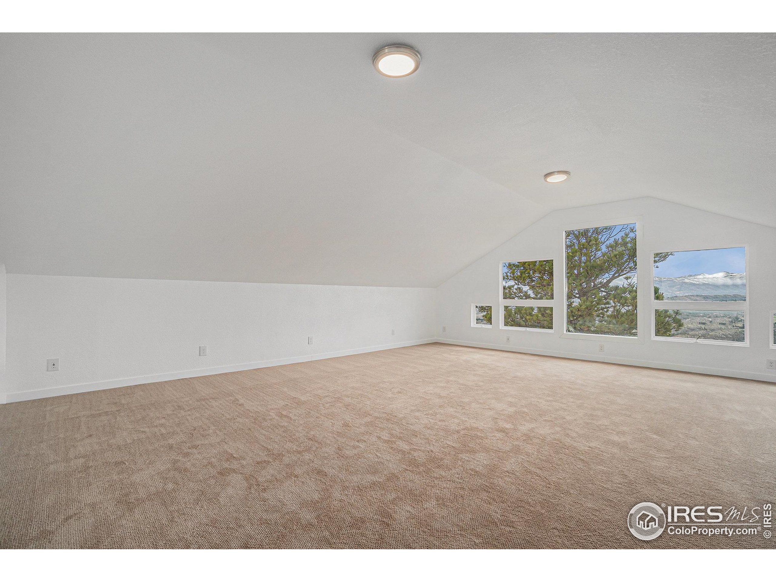 552 Blue Grouse Lane Bellvue, CO 80512 - Photo 30 of 39 a view of an empty room with a window
