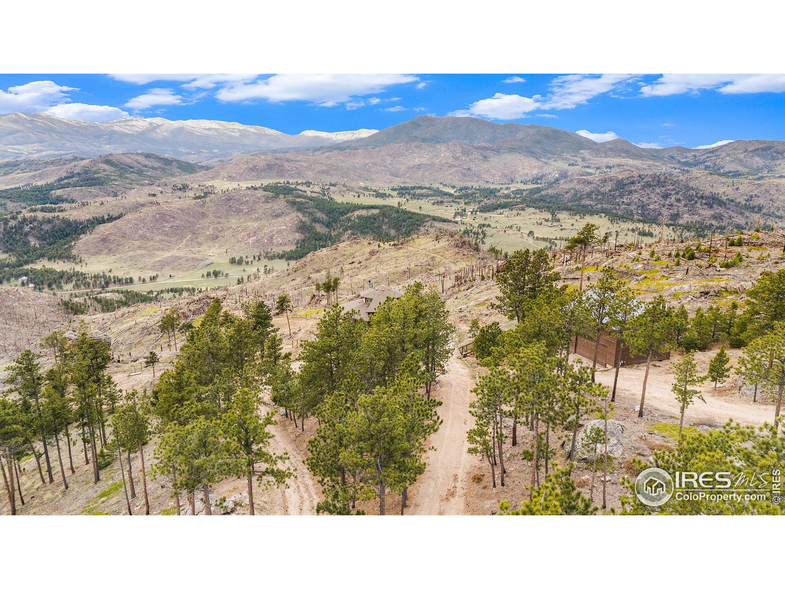 552 Blue Grouse Lane Bellvue, CO 80512 - Photo 38 of 39 a black and white photo of a lake