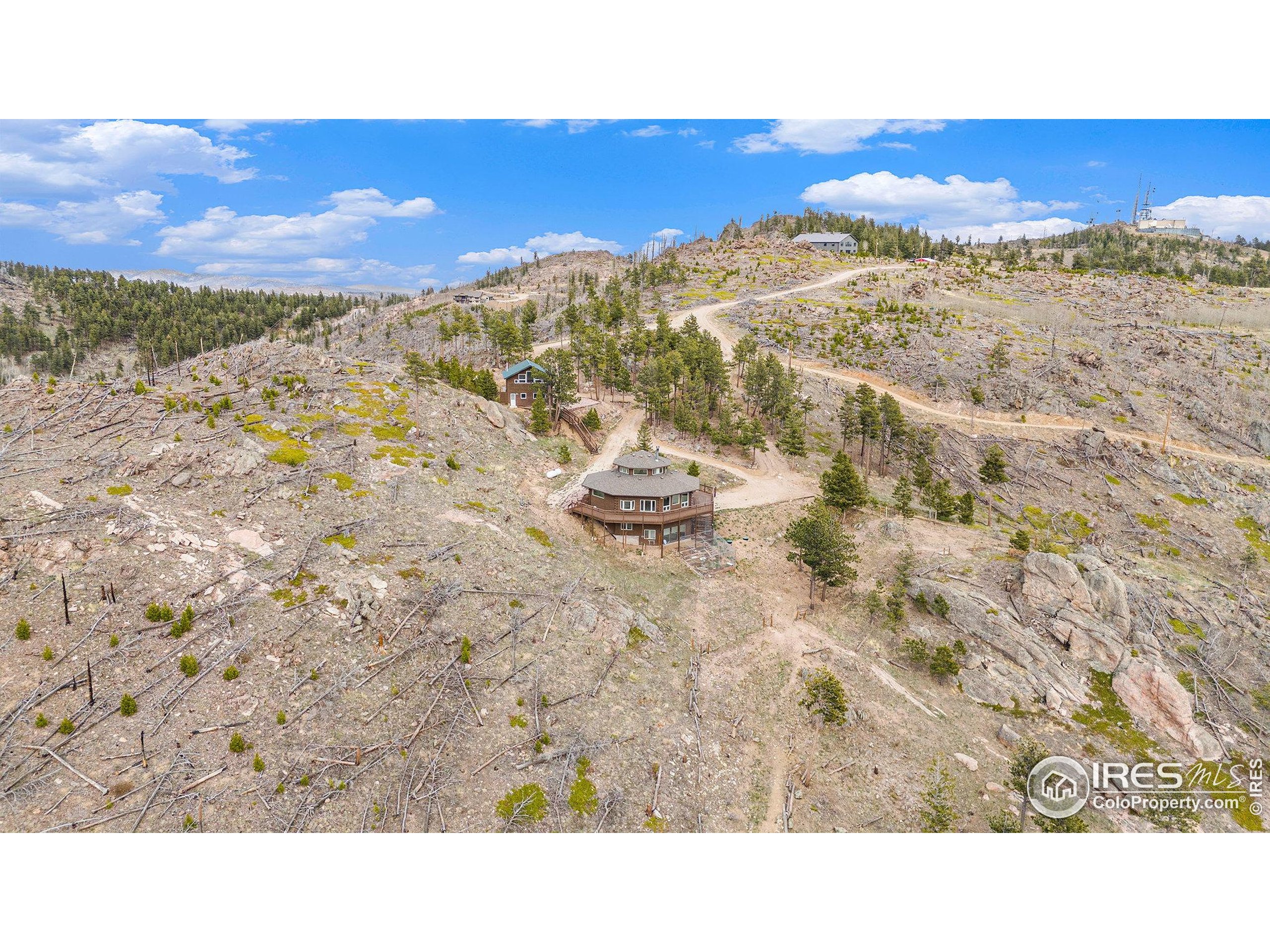 552 Blue Grouse Lane Bellvue, CO 80512 - Photo 39 of 39 a black and white photo of a city