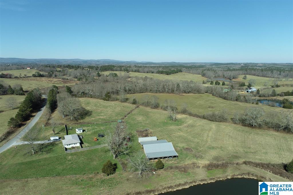 0 Graben Road, Unit 1 Lineville, AL 36266 - Photo 3 of 5