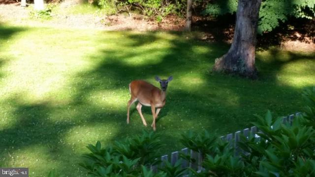 406 Carranza Road Tabernacle, NJ 08088 - Photo 34 of 37