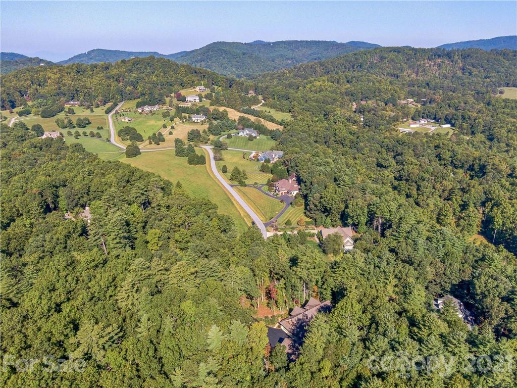 31 Ashbrook Meadows Fletcher, NC 28732 - Photo 45 of 48