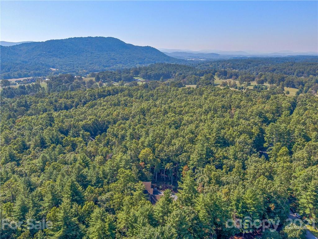31 Ashbrook Meadows Fletcher, NC 28732 - Photo 47 of 48